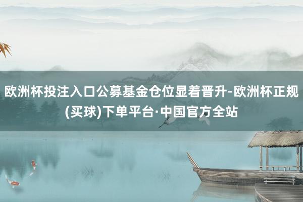 欧洲杯投注入口公募基金仓位显着晋升-欧洲杯正规(买球)下单平台·中国官方全站