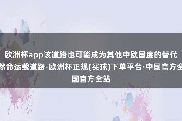 欧洲杯app该道路也可能成为其他中欧国度的替代自然命运载道路-欧洲杯正规(买球)下单平台·中国官方全站