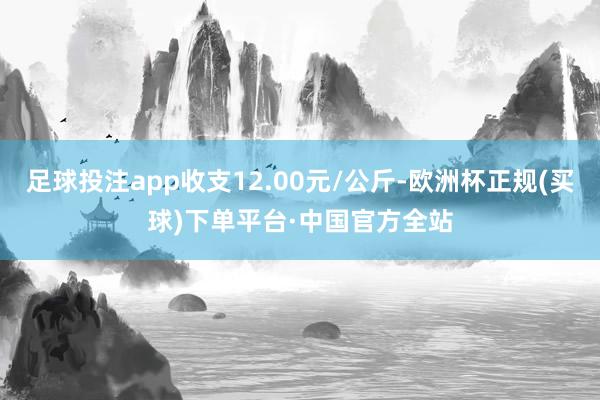 足球投注app收支12.00元/公斤-欧洲杯正规(买球)下单平台·中国官方全站