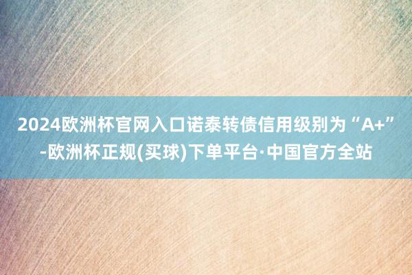 2024欧洲杯官网入口诺泰转债信用级别为“A+”-欧洲杯正规(买球)下单平台·中国官方全站