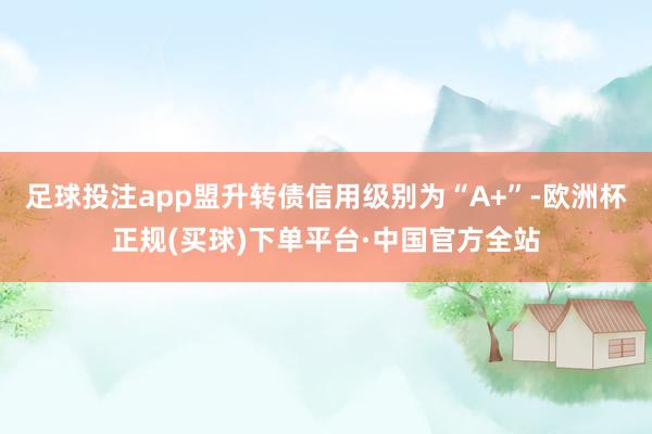 足球投注app盟升转债信用级别为“A+”-欧洲杯正规(买球)下单平台·中国官方全站