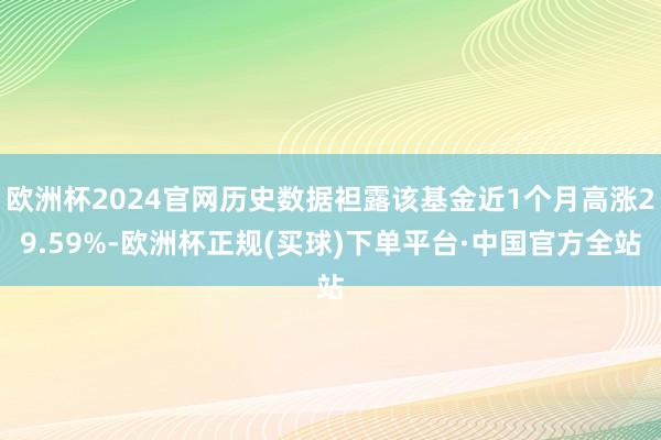 欧洲杯2024官网历史数据袒露该基金近1个月高涨29.59%-欧洲杯正规(买球)下单平台·中国官方全站