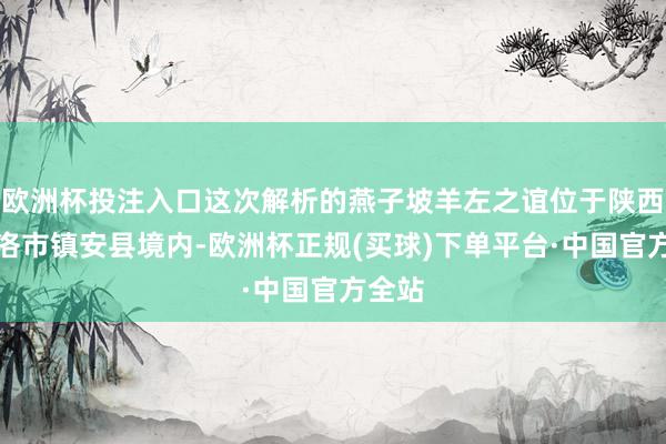 欧洲杯投注入口这次解析的燕子坡羊左之谊位于陕西省商洛市镇安县境内-欧洲杯正规(买球)下单平台·中国官方全站