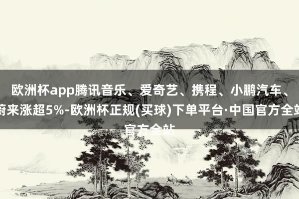 欧洲杯app腾讯音乐、爱奇艺、携程、小鹏汽车、蔚来涨超5%-欧洲杯正规(买球)下单平台·中国官方全站