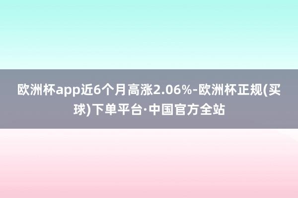 欧洲杯app近6个月高涨2.06%-欧洲杯正规(买球)下单平台·中国官方全站