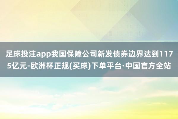 足球投注app我国保障公司新发债券边界达到1175亿元-欧洲杯正规(买球)下单平台·中国官方全站